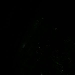 Meet your Posher, Ava